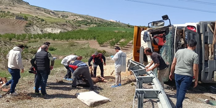 Besni’deki feci kazada sürücü yaşamını yitirdi